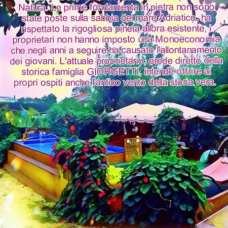Villino Al Mare Giorgetti 빌라 *